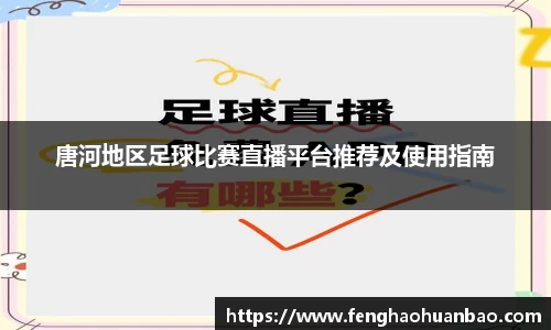 风云体育